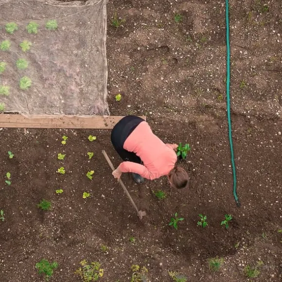 Vandingsslange, 300 cm, Grøn, Plast