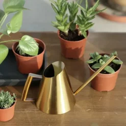 Vandkande - Lille blomsterkande - Rustfrit stål 201 - Lang tud - 900 ml - Moderne design - Lakeret overflade - Guld