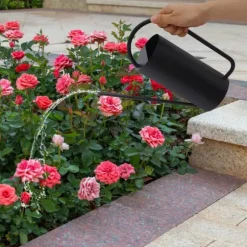 Vandkande - Rustfrit stål 201 - Lang tud - 1,4 L - Til stue- og hængeplanter - Bund Ø10 cm - Sort