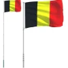 vidaXL Belgien flag og flagstang 5,55 m aluminium