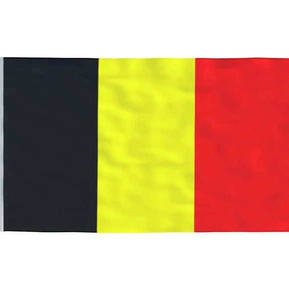 vidaXL Belgien flag og flagstang 5,55 m aluminium - Flag & vimpler