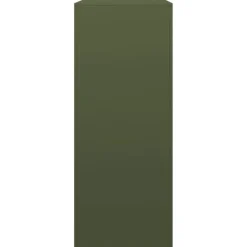 vidaXL brændestativ 100x40x100 cm stål grøn