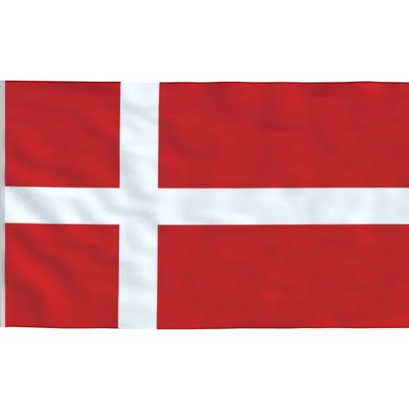 vidaXL Danmark flag og flagstang 5,55 m aluminium