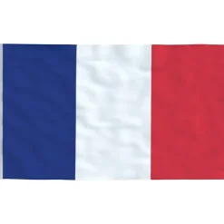 vidaXL det franske flag 90x150 cm