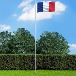 vidaXL det franske flag 90x150 cm