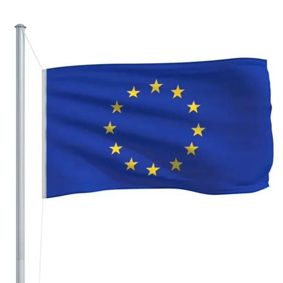 vidaXL Europaflag 90x150 cm