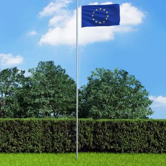 vidaXL Europaflag 90x150 cm