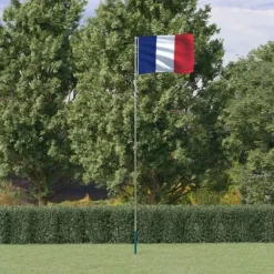 vidaXL Frankrig flag og flagstang 5,55 m aluminium
