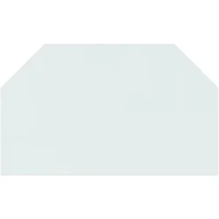 vidaXL glasplade til pejs 100x60 cm sekskantet - Glas