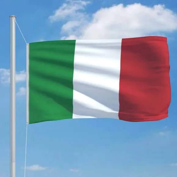 vidaXL italiensk flag 90x150 cm - Flag & vimpler