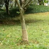 vidaXL juterulle 0,25x15 m 200 gsm 100 % jute - Indretning