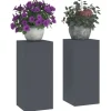 vidaXL Planteholdere 2 pcs Antracit 24 x 24 x 55 cm Stål