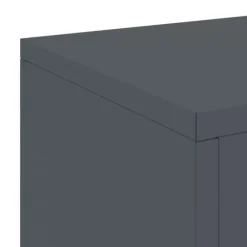vidaXL Planteholdere 2 pcs Antracit 24 x 24 x 55 cm Stål