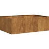 vidaXL plantekasse rustfarvet 120x80x40 cm forvitringsstål
