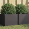 vidaXL plantekasser 2 stk. 32x30x29 cm koldvalset stål sort - Plantekrukker