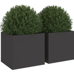 vidaXL plantekasser 2 stk. 32x30x29 cm koldvalset stål sort - Plantekrukker
