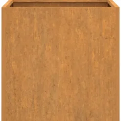 vidaXL plantekasser 2 stk. 42x40x39 cm cortenstål - Plantekrukker