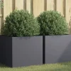 vidaXL plantekasser 2 stk. 49x47x46 cm koldvalset stål antracitgrå - Plantekrukker