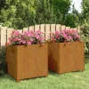vidaXL plantekasser med ben 2 stk. 49x47x50 cm cortenstål rustfarvet - Plantekrukker