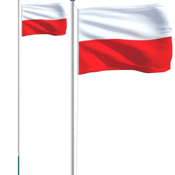 vidaXL Polen flag og flagstang 6,23 m aluminium