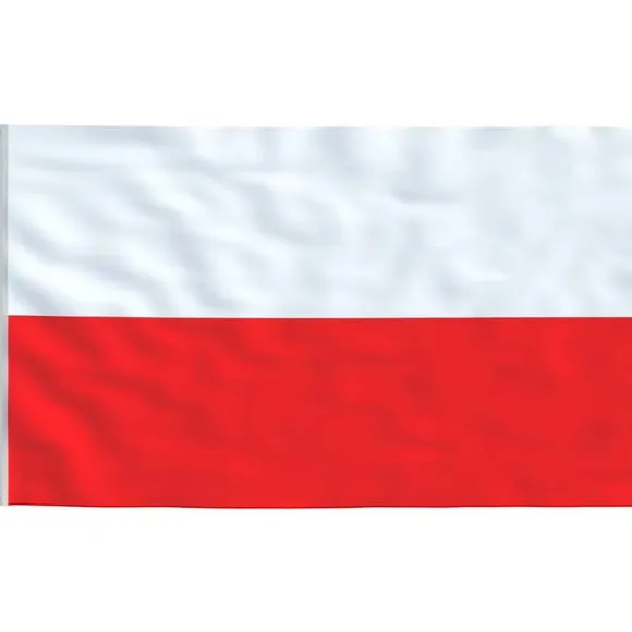 vidaXL Polen flag og flagstang 6,23 m aluminium