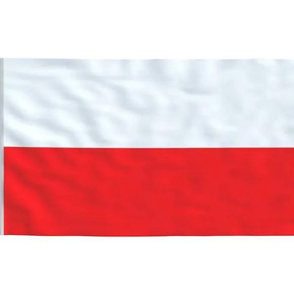 vidaXL Polen flag og flagstang 5,55 m aluminium - Flag & vimpler