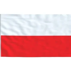 vidaXL polsk flag 90x150 cm