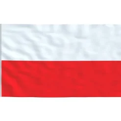 vidaXL polsk flag 90x150 cm - Flag & vimpler