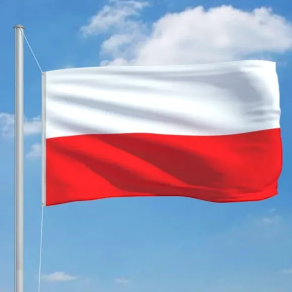 vidaXL polsk flag 90x150 cm - Flag & vimpler