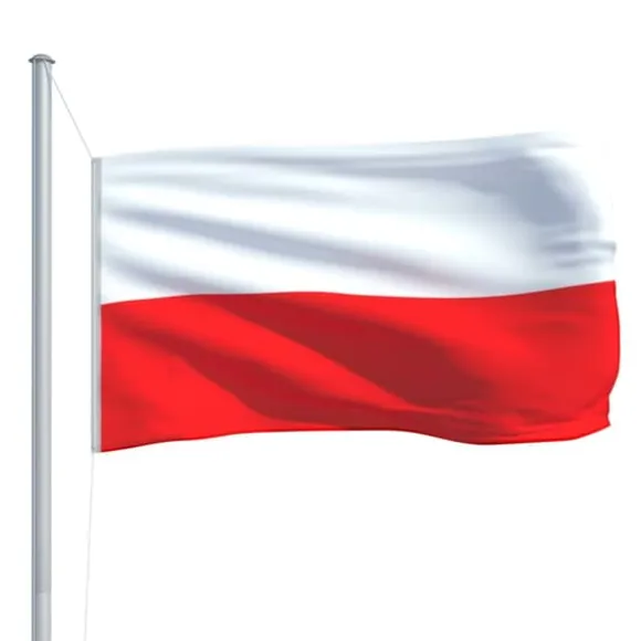 vidaXL polsk flag 90x150 cm - Flag & vimpler