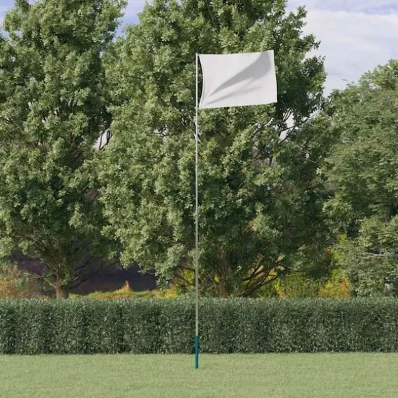 vidaXL teleskopflagstang 5,5 m aluminium sølvfarvet