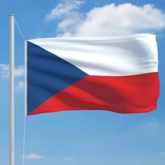 vidaXL tjekkisk flag 90x150 cm