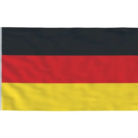 vidaXL Tyskland flag og flagstang 6,23 m aluminium