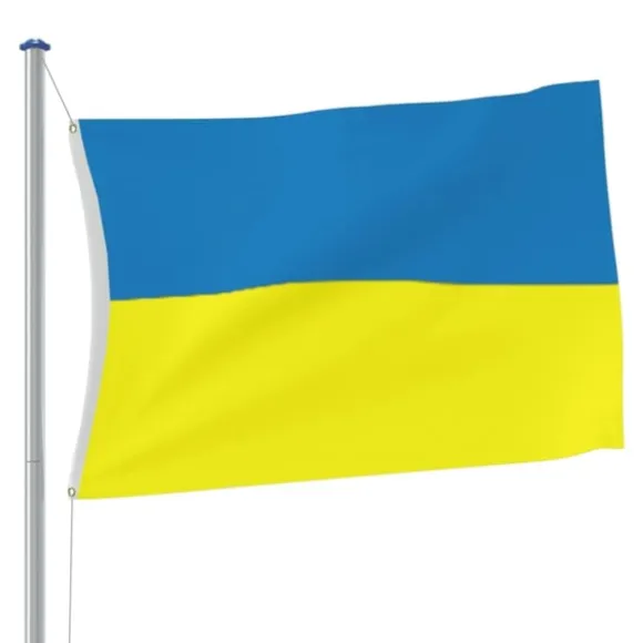 vidaXL Ukraine flag med messingøjer 90x150 cm