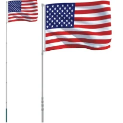 vidaXL USA flag og flagstang 5,55 m aluminium