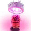 Växtlampa GROWFLOW, 50W LED med optimal våglängd, NASA Lila och Blå