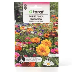Wildflower Seed Mix - hurtigtvoksende blomsterbed i bløde pastelfarver
