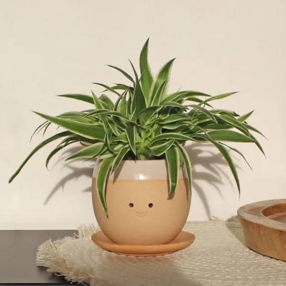 Winkee Grædende plantekrukke - Planter