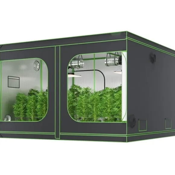 10x10 hydroponisk voksetelt, 120'' x 120'' x 80'', højreflekterende 600D Mylar med vindue, værktøjstaske og gulvbakke til indendørs planter.