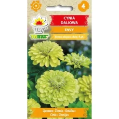 Zinnia dahlia ENVY 1g