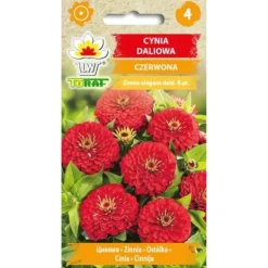 Zinnia dahlia RØD 1g