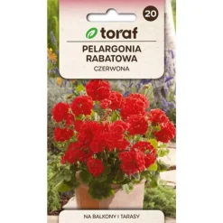 Zonal geranium rød frø - Farverige blomster til altaner og blomsterbede